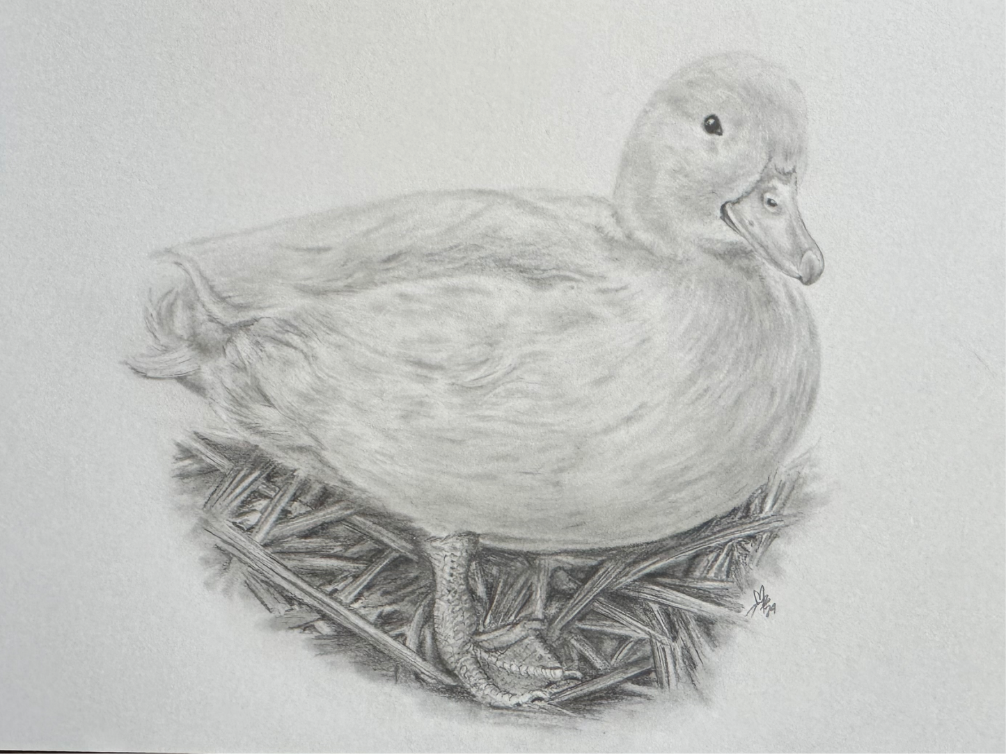 Custom 5x7” Portrait