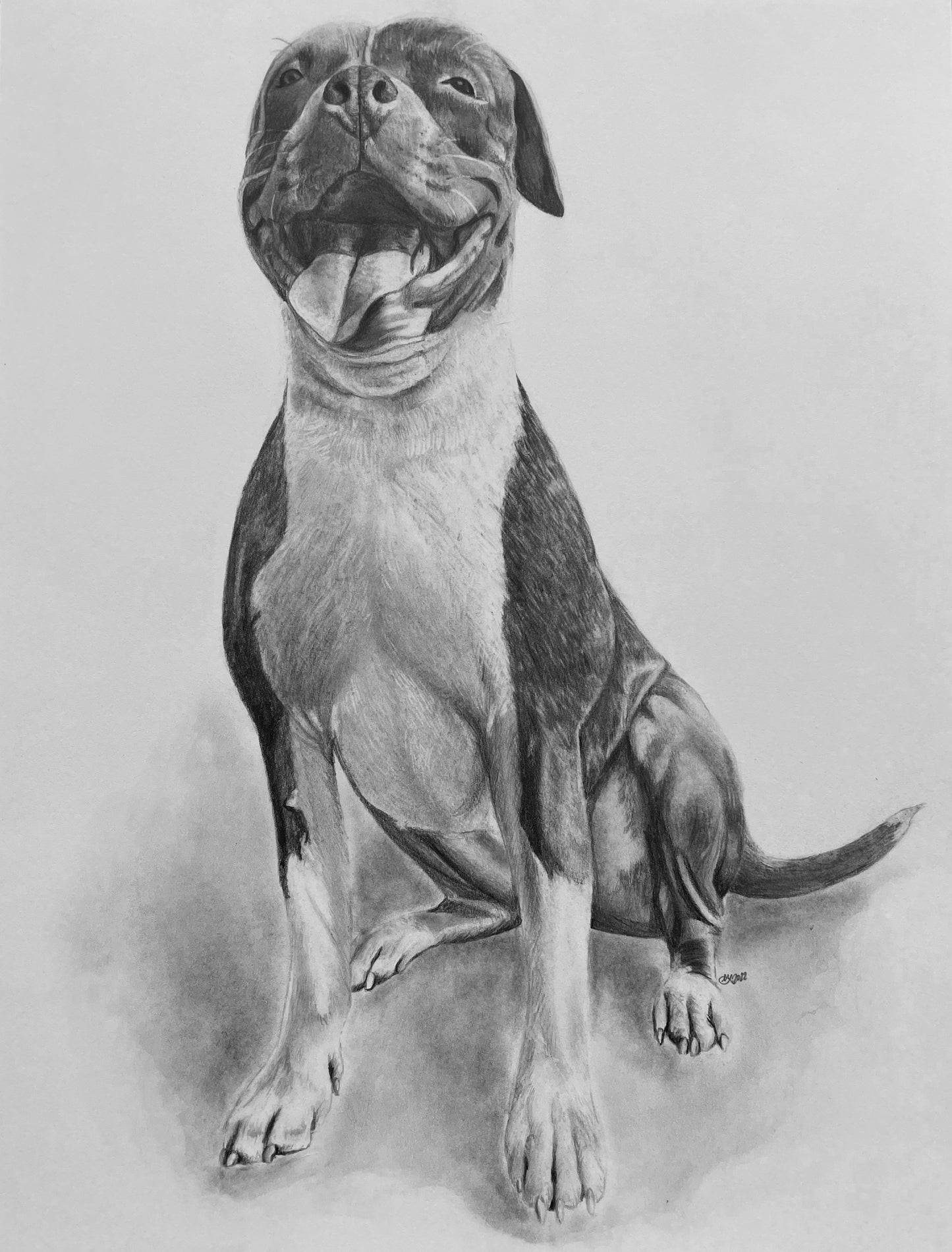 Custom 9x12" Portrait