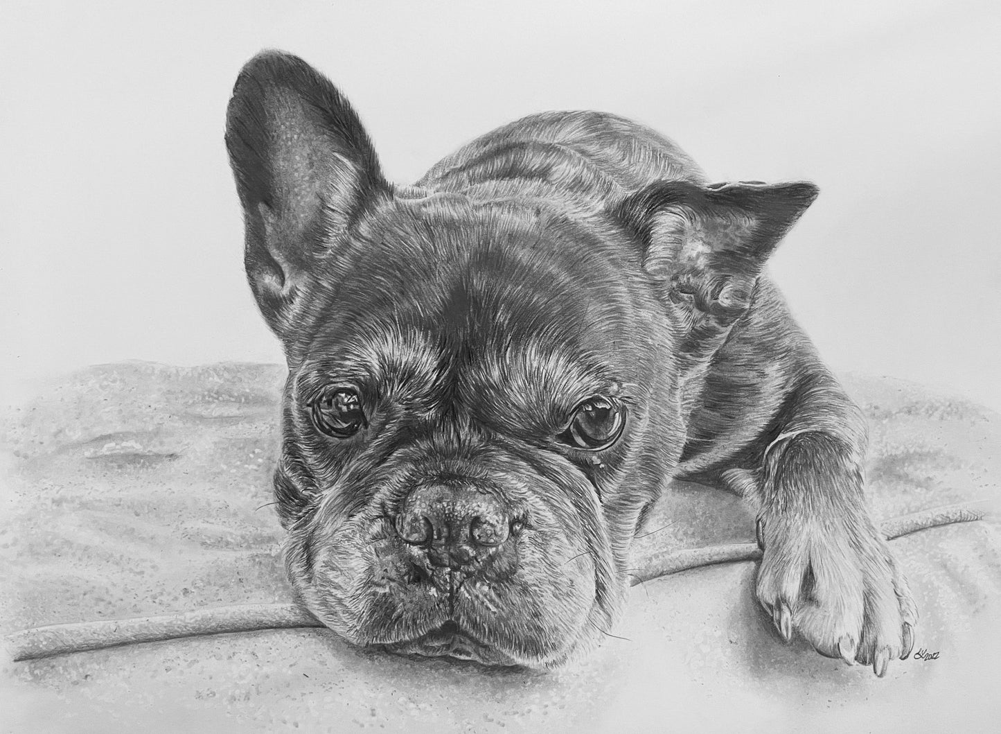 Custom 9x12" Portrait