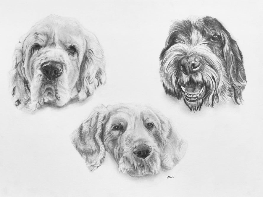 Custom 9x12" Portrait