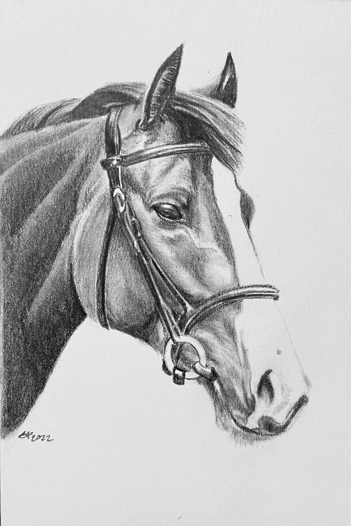 Custom 4x6” Portrait