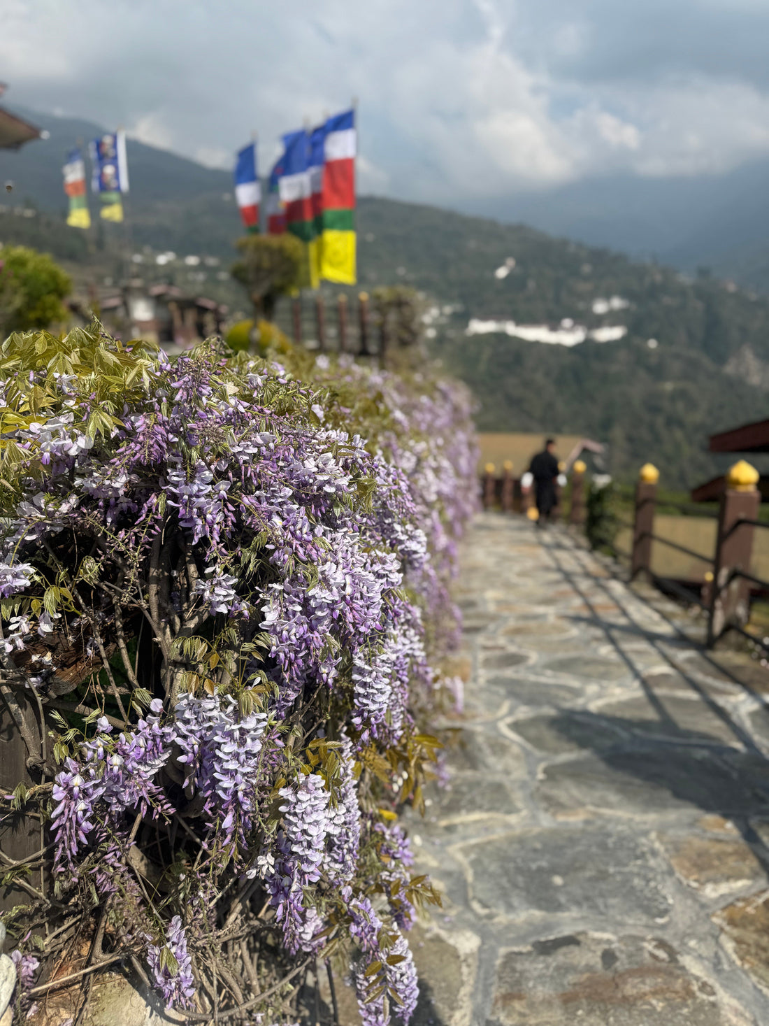 Drive to Bumthang