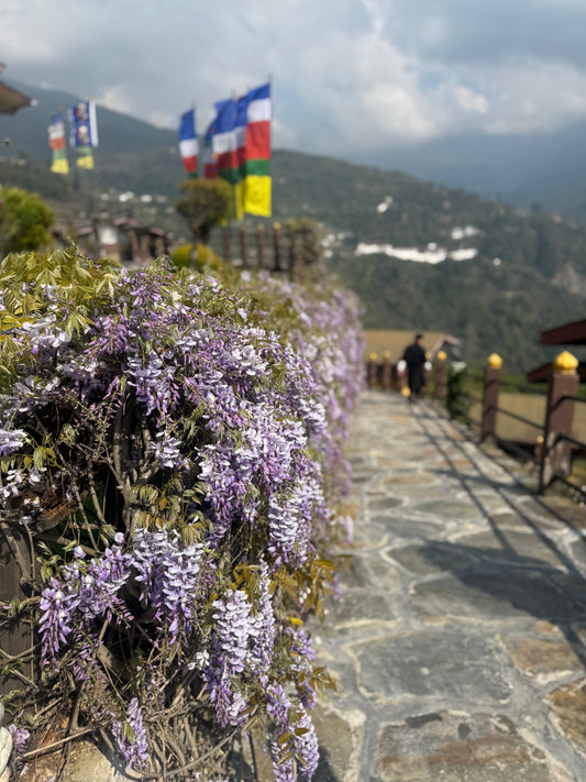 Drive to Bumthang